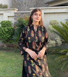 2 Pcs Women's Stitched Linen Printed Shirt And Trouser